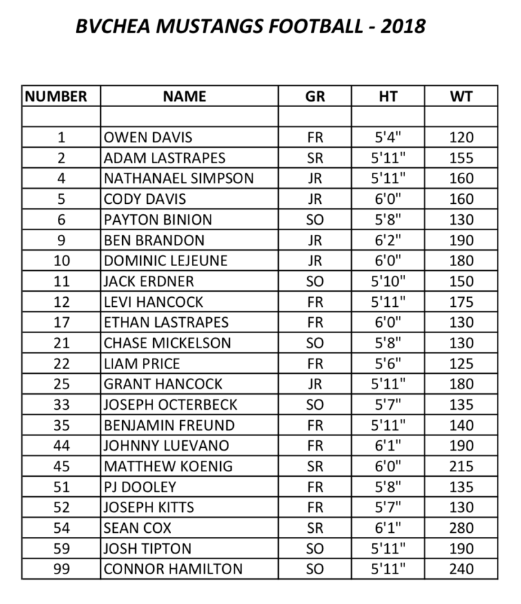 BVCHEA football roster